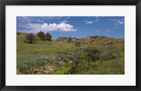 Framed Yellow Wildflowers And Mountains Print