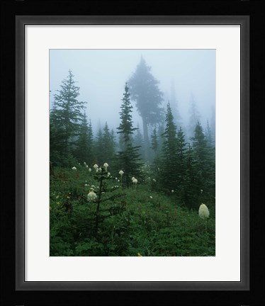 Framed Misty Green Trees And Field II Print