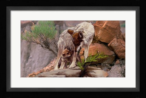 Framed Summer Shade Print