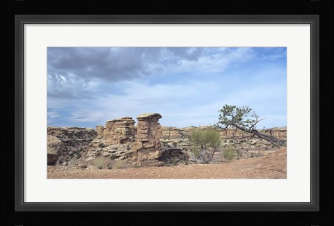 Framed Canyonland 12 Print