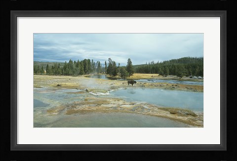 Framed Yellowstone 3 Print