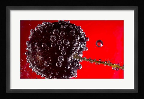 Framed Cherry Covered In Water Drops V Print