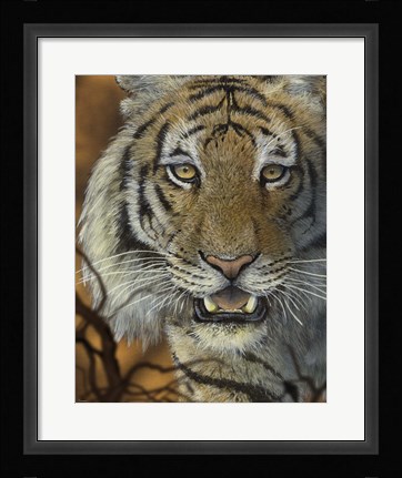 Framed Night Vision Print