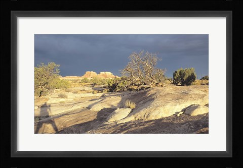 Framed Canyonland 14 Print