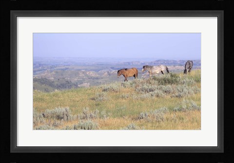 Framed Wild Horses 24 Print