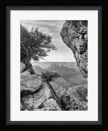 Framed Grand Canyon 7 Print