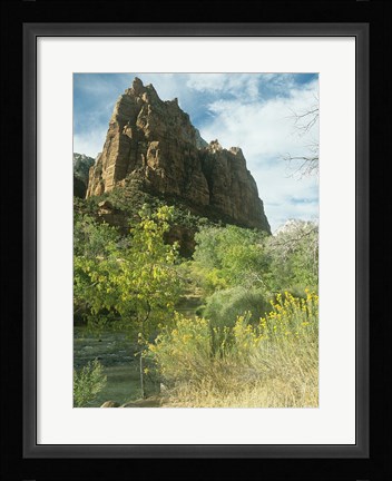 Framed Zion 5 Print