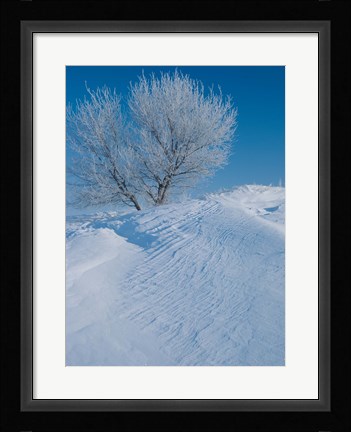 Framed Snow Terrain Tree V Print