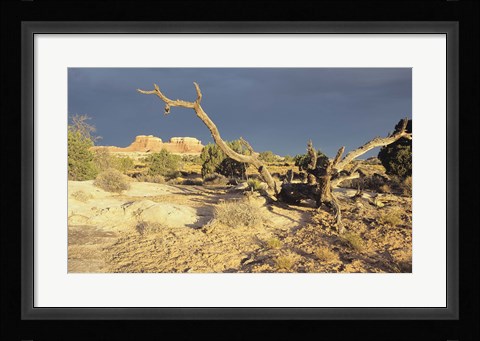 Framed Canyonland 13 Print