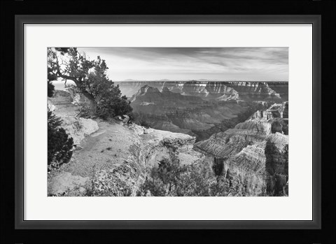 Framed Grand Canyon 1 Print