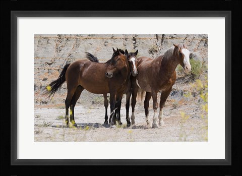 Framed Three Brown Horses Print