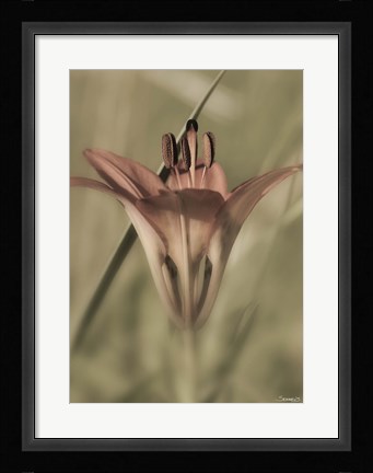 Framed Red Flower And Grass Blade Vertical Print