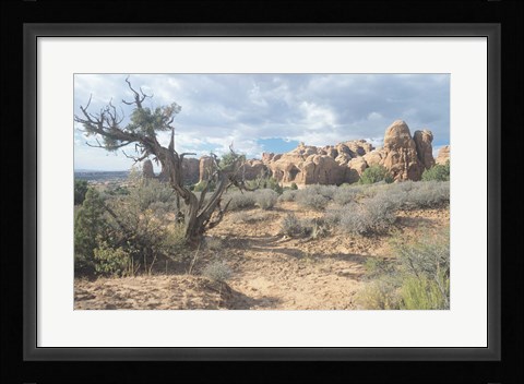 Framed Arches 24 Print