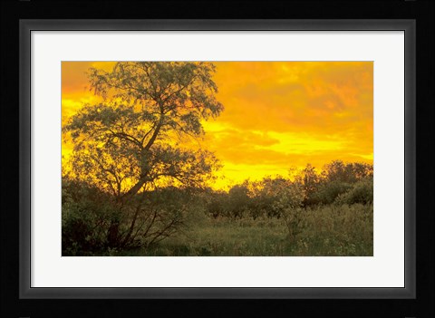 Framed Sunrise Over Green Field Print
