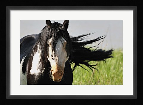 Framed Wildhorses 1 Print