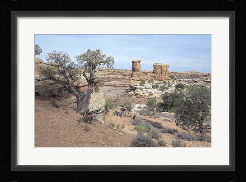 Framed Canyonland 8 Print