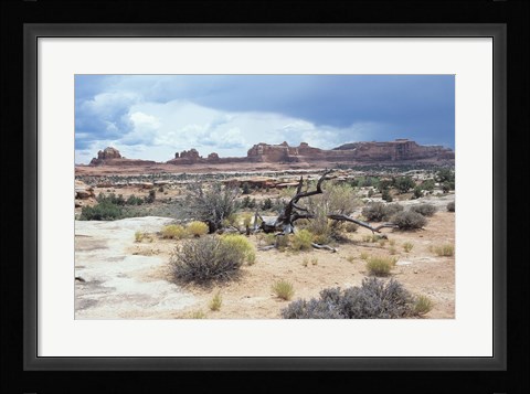 Framed Canyonland 7 Print