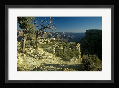 Framed Grand Canyon 6 Print
