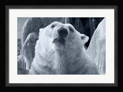 Framed Arctic Frost 2 Print