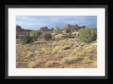 Framed Canyonland 15 Print