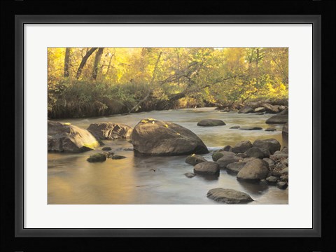 Framed Buffalo River 6 Print