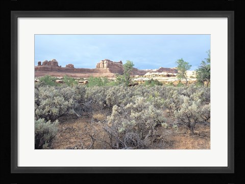 Framed Canyonland 16 Print