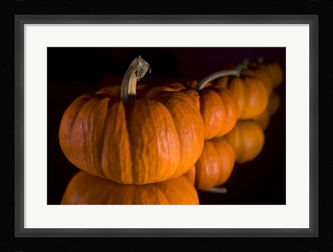 Framed Pumpkin Reflections Print