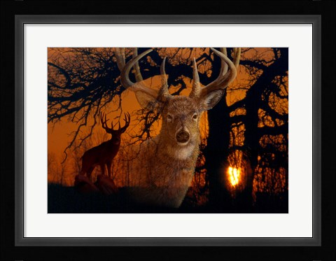 Framed Silhouettes Of Autumn Print