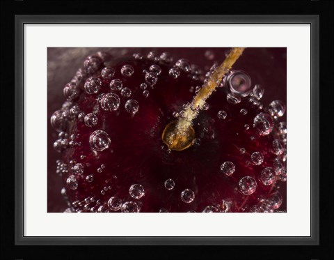 Framed Marroon Fruit Closeup With Raindrops I Print