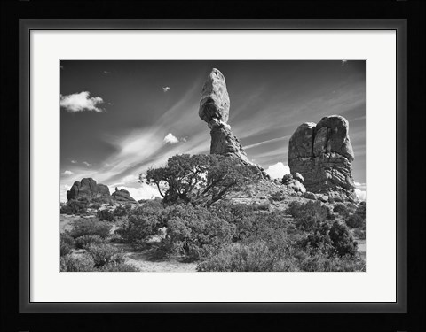 Framed High Rock And Tree Print