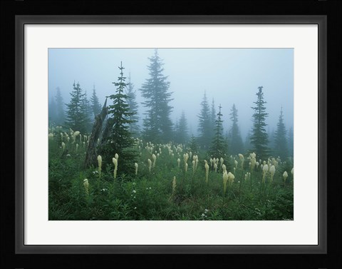 Framed Misty Green Trees And Field I Print