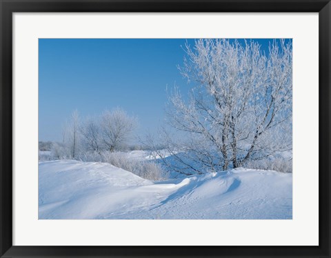 Framed Snow Terrain II Print