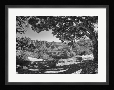 Framed Grand Canyon 8 Print