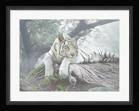 Framed Lazy Days Print