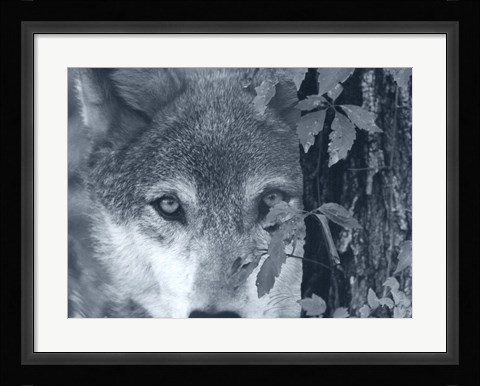 Framed At First Sight Print