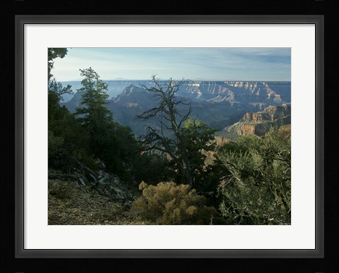 Framed Grand Canyon 3 Print