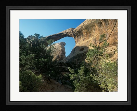 Framed Arches 14 Print