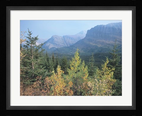 Framed Blue Mountains And Fall Trees Print