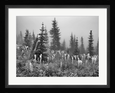 Framed Field With Trees And Greenery Print