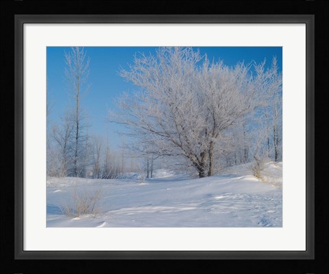 Framed Snow Terrain III Print