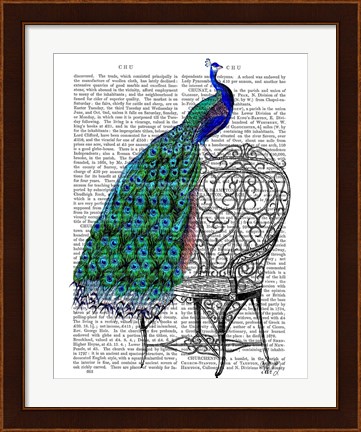 Framed Peacock on Chair Print