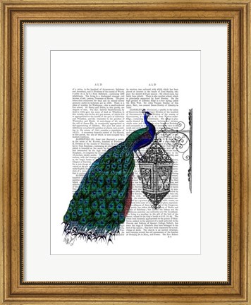 Framed Peacock On Lamp Print