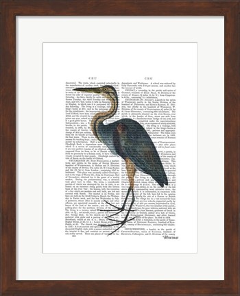 Framed Blue Heron 3 Print