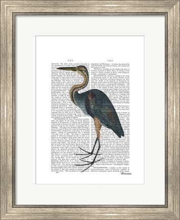 Framed Blue Heron 3 Print
