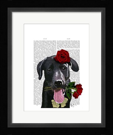 Framed Black Labrador with Roses Print