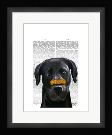 Framed Black Labrador With Bone on Nose Print
