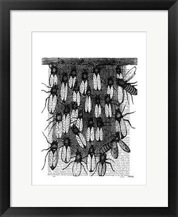 Framed Bee and Honeycomb Print Print