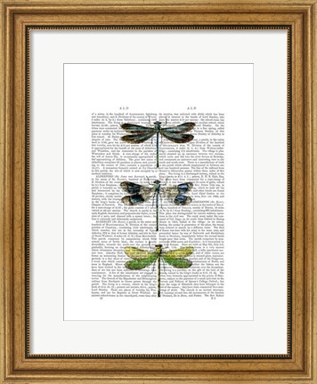 Framed Dragonflies Print 2 Print