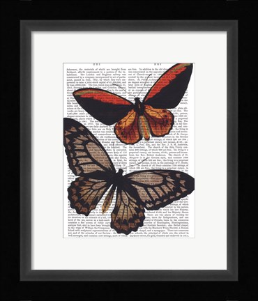 Framed Butterflies 2 Print