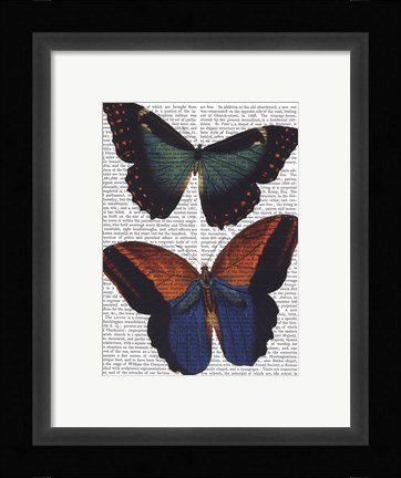 Framed Butterflies 4 Print